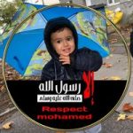 Image de Profil de Ayoub Hammouli