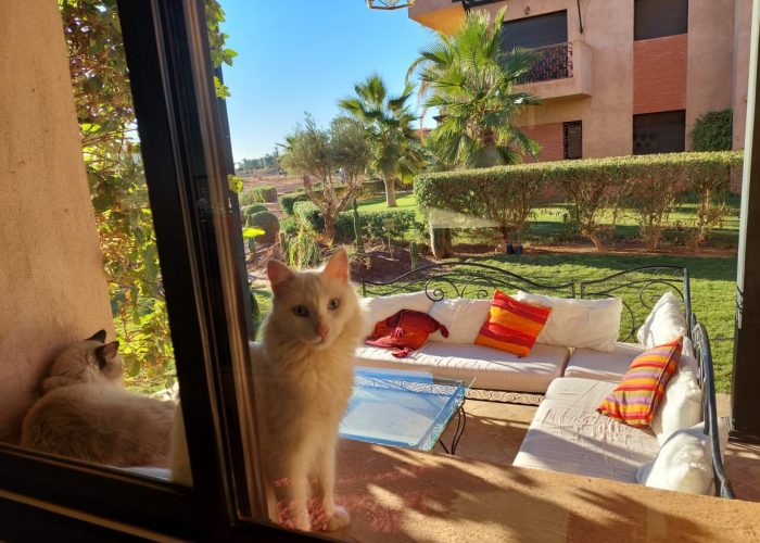Image annonce: APPARTEMENT A LOUER