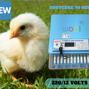 Annonce Couveuse 70 oeuf avec garantie