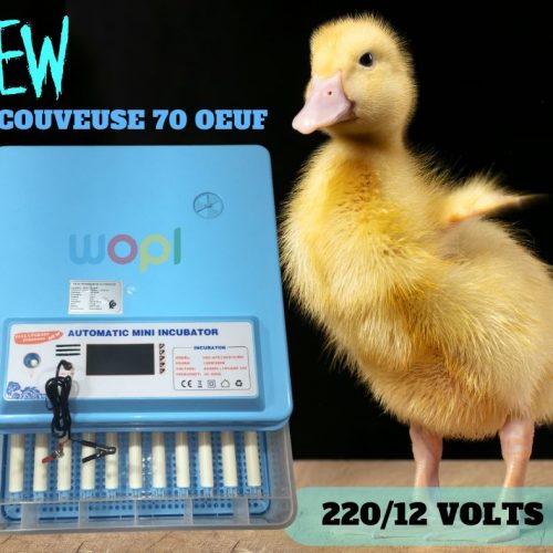 Annonce: Couveuse de haute qualité et durable