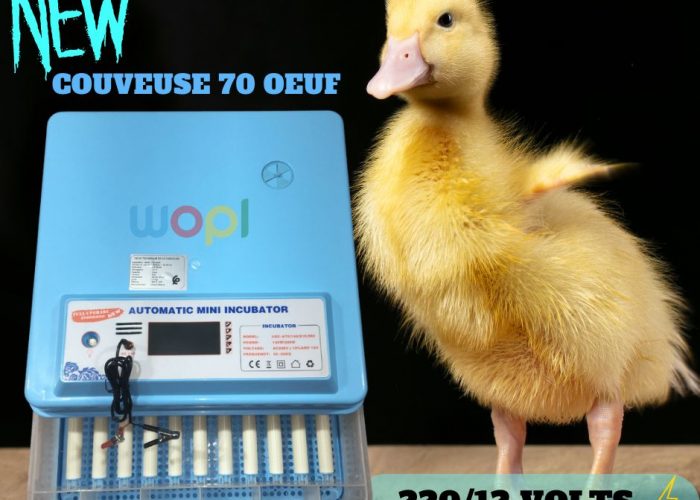 Image annonce: Couveuse de haute qualité et durable