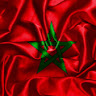Image de Profil de Mc222195