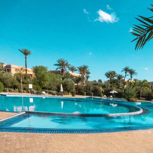 Annonce: APPARTEMENT A VENDRE a la palmeraie superficie 120 m2  Avec 100 m2 de Jardin
