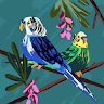 Image de Profil de Akounjima