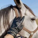 Image de Profil de Mer Iem