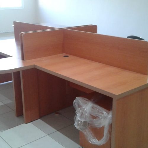 Annonce: Les marguerites a vendre