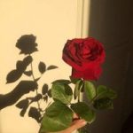 Image de Profil de Lâtifâ Bâid