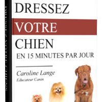 Annonce Formation: Dressez Votre Chien en 15 Minutes par jour