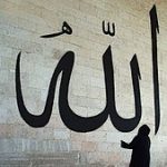 Image de Profil de Taoufik Fourati