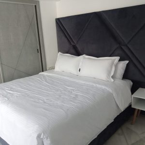 Annonce Appartements Meublé Haute Standing À Louer