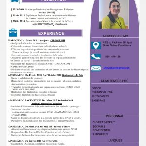 Annonce Demande d'emploi