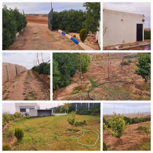 Annonce Ferme Titré Aux Bords De Bhalil