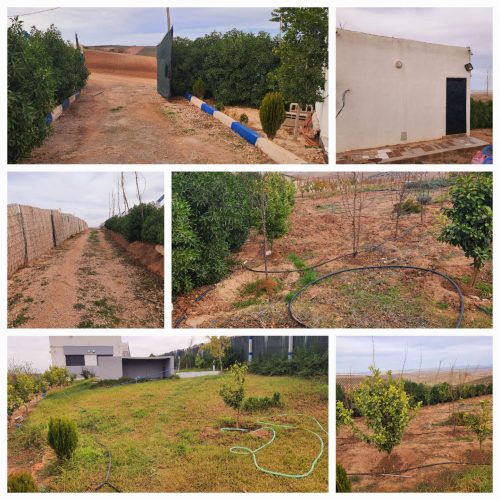 Annonce: Ferme Titré Aux Bords De Bhalil