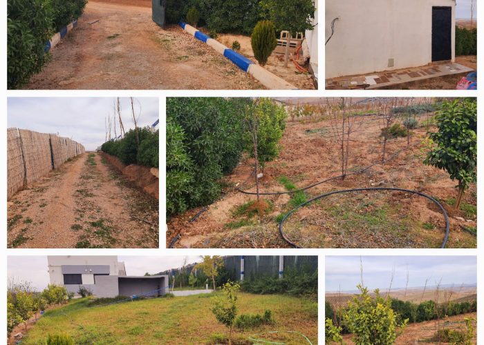 Image annonce: Ferme Titré Aux Bords De Bhalil