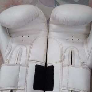Annonce Les gants
