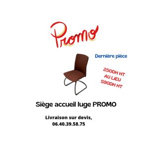 Annonce Siège accueil luge Promo