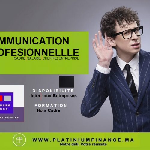 Annonce: COMMUNICATION ORALE-ECRITE – FRANÇAIS GENERAL & PROFESSIONNEL DES AFFAIRES»