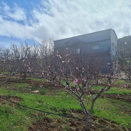 Annonce: Ferme Titré Avec Villa Équipé À Vendre