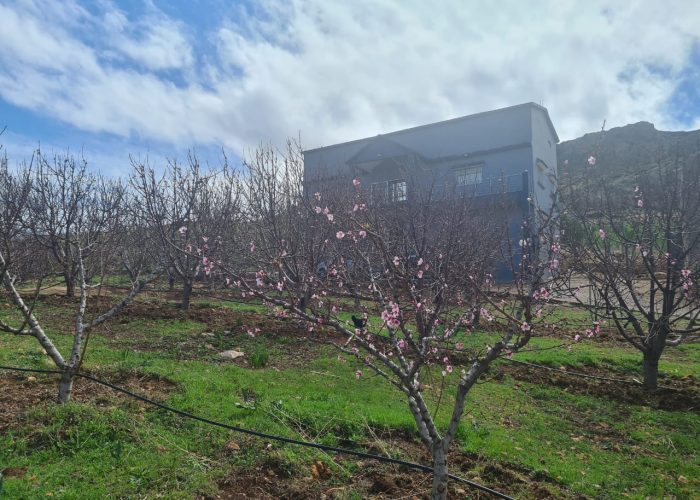 Image annonce: Ferme Titré Avec Villa Équipé À Vendre