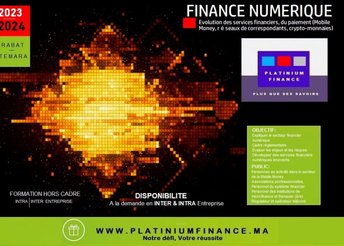 Image annonce: FORMATION  CADRE  / FINANCE NUMERIQUE