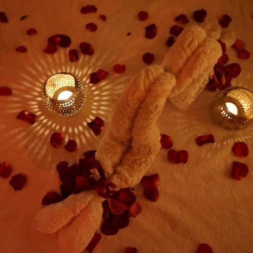 Annonce: A louer pour longue duree spa a gueliz