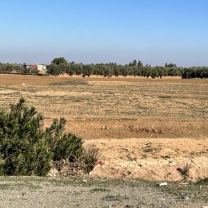 Annonce Terrain titré à vendre