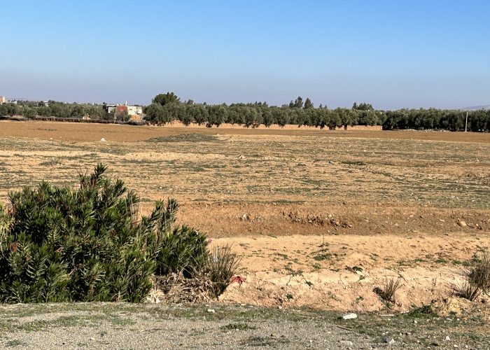 Image annonce: Terrain titré à vendre