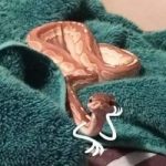 Image de Profil de Nada Berhmani