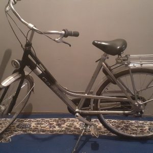 Annonce Vélo gazelle