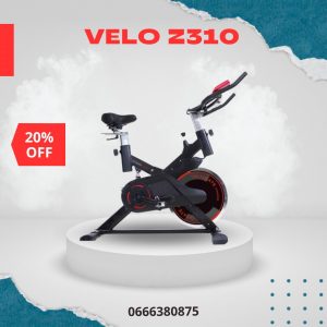 Annonce Velo Spinning Z 310