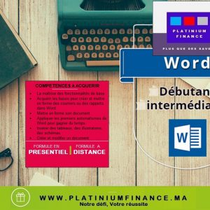 Annonce MICROSOFT  WORD