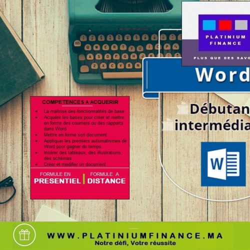 Annonce: MICROSOFT  WORD