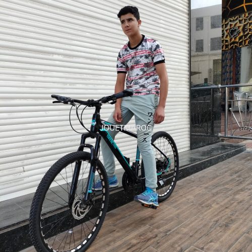Annonce: Vélo SHM ALUMINIUM