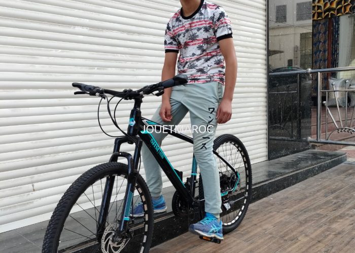 Image annonce: Vélo SHM ALUMINIUM