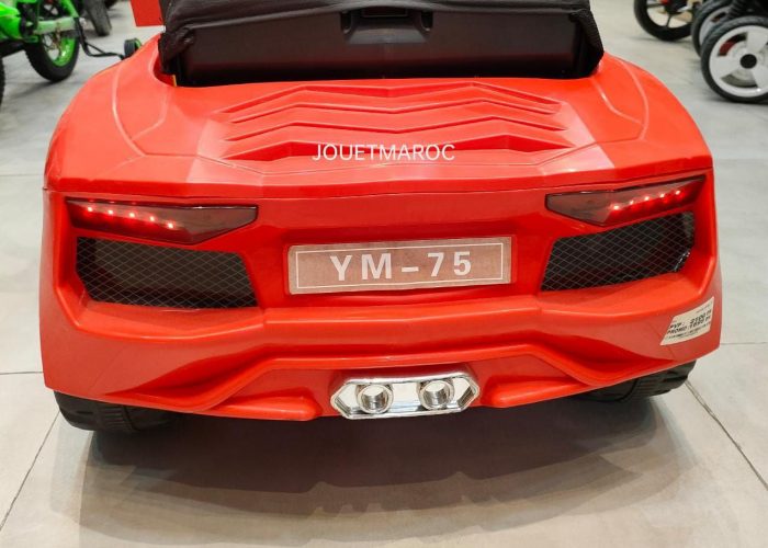 Image annonce: La voiture Lamborghini sport