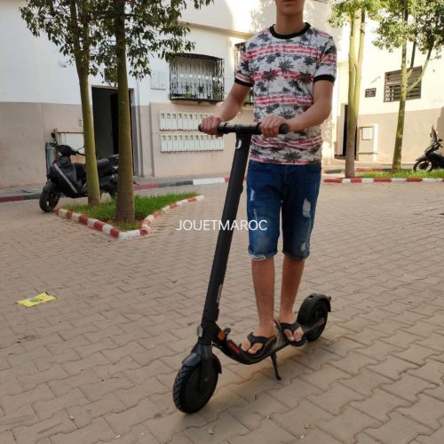 Annonce: Segway Ninebot E22E trottinette électrique 2023