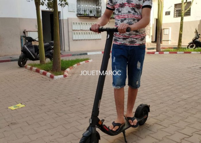 Image annonce: Segway Ninebot E22E trottinette électrique 2023