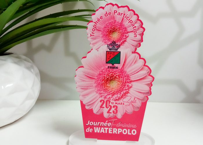 Image annonce: Trophée personnalisé pour vos événements
