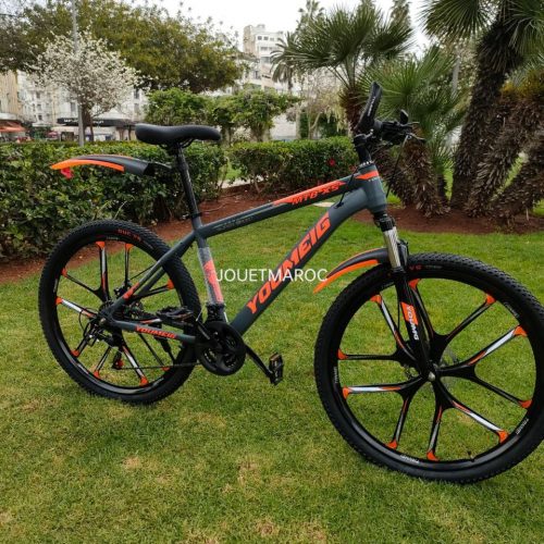 Annonce: Vélo YOUMEIG 27,5 Pouce farfara 2023