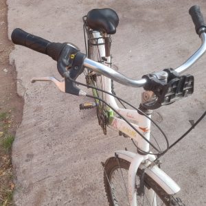 Annonce Velo féminin léger allemand