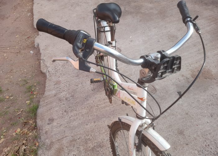 Image annonce: Velo féminin léger allemand