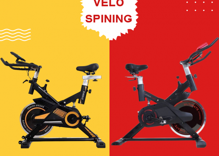 Image annonce: VELO SPINING PROFSSINEIL