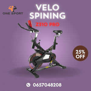 Annonce velo spining z310pro