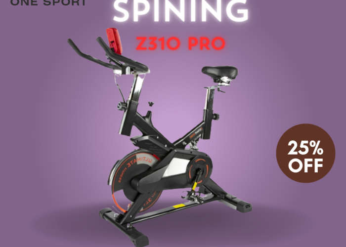 Image annonce: Velo spining z310pro
