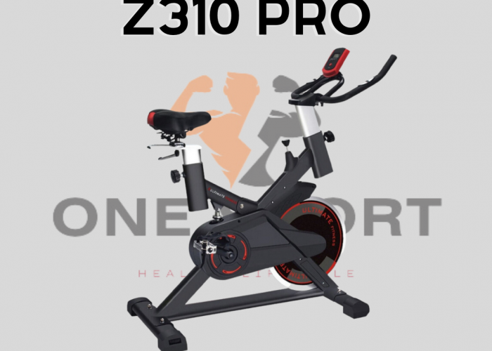 Image annonce: Velo z310 pro ulmatic