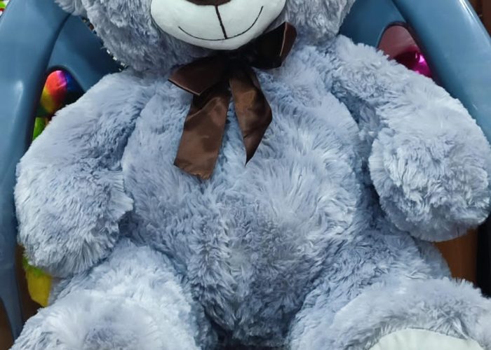 Image annonce: Nounours 90 cm haut qualité