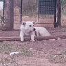 Photo de profil de: Sara Halim