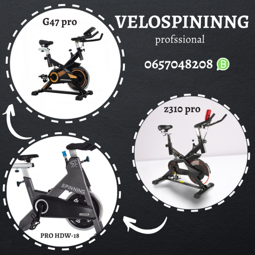 Annonce: velo spininng excellent type