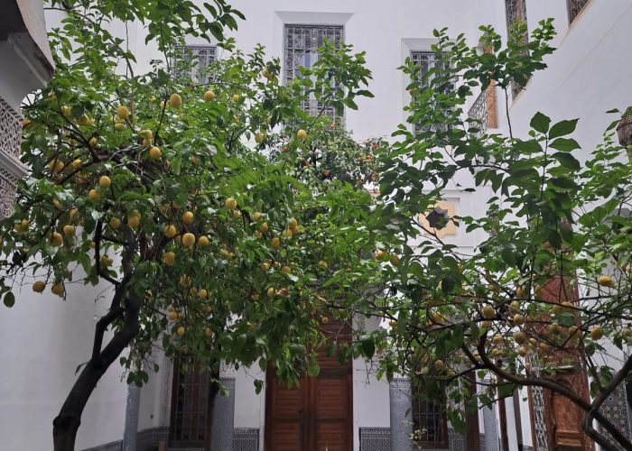 Image annonce: Belle Maison Traditionnelle Rénové Pour Devenir Maison D’hôte À Vendre