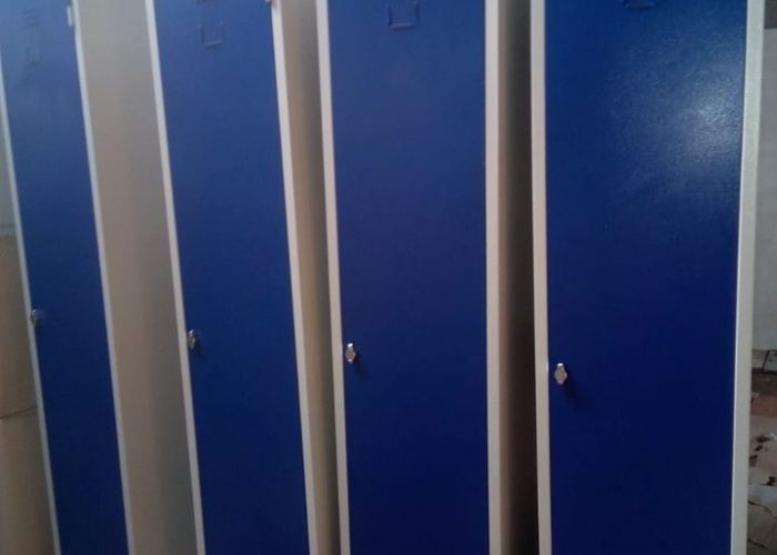 Image annonce: Vestiaire métallique au choix